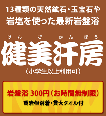 �������[�i����т���ڂ��j ��՗� 300�~ ���Ԗ����� ��՗��� ��^�I���t�I