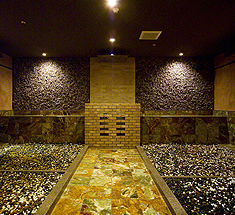 ���Ζ[ �i������p�j