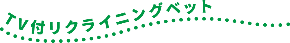 TV付リクライニングベット